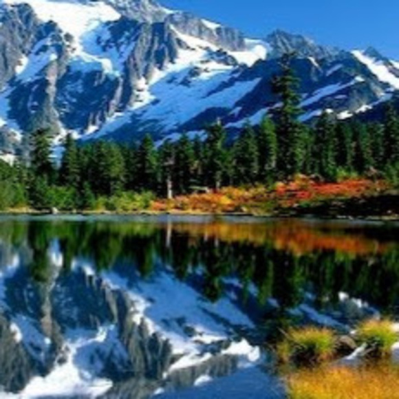 Meet your Posher, Bevy - Picture 1 of 1